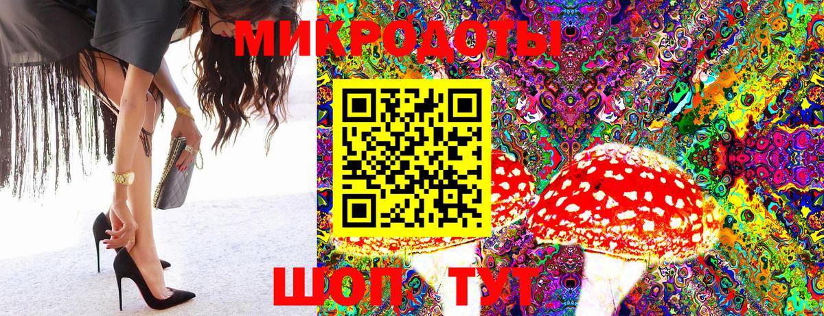 Галлюциногенные грибы Psilocybine cubensis Великий Устюг